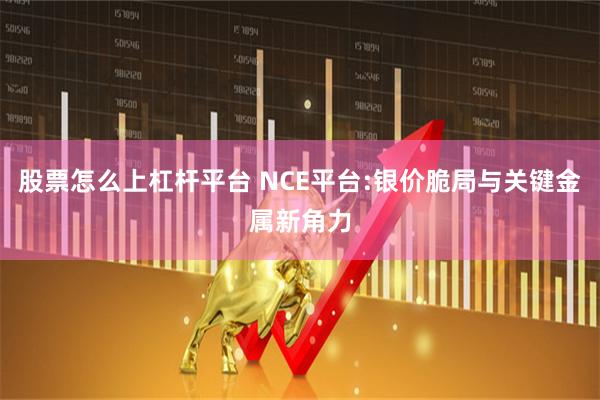 股票怎么上杠杆平台 NCE平台:银价脆局与关键金属新角力
