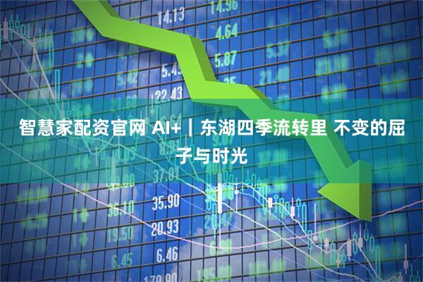 智慧家配资官网 AI+｜东湖四季流转里 不变的屈子与时光