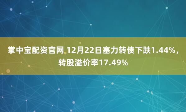 掌中宝配资官网 12月22日塞力转债下跌1.44%，转股溢价率17.49%